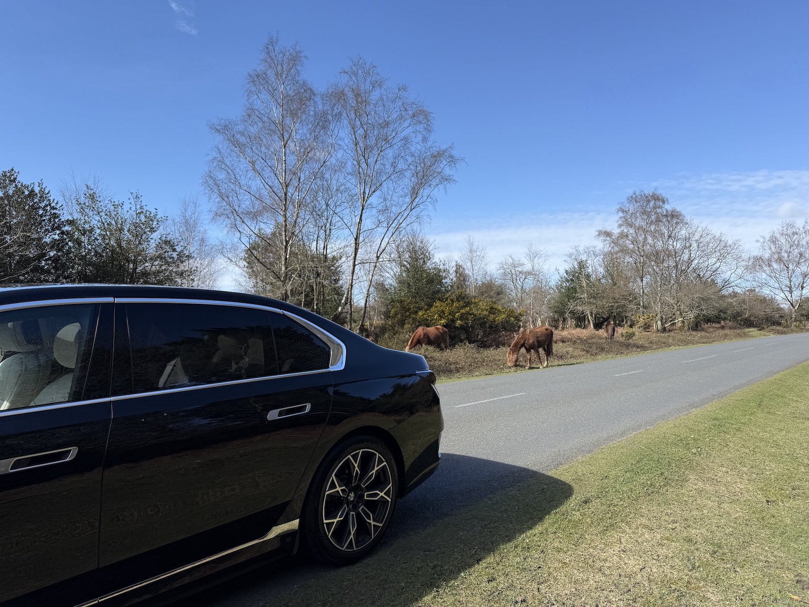 BMW i7 Meets New Forest Wildlife on Chauffeur Journey to Heathrow